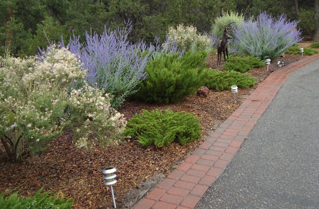 Perennials along Driveway