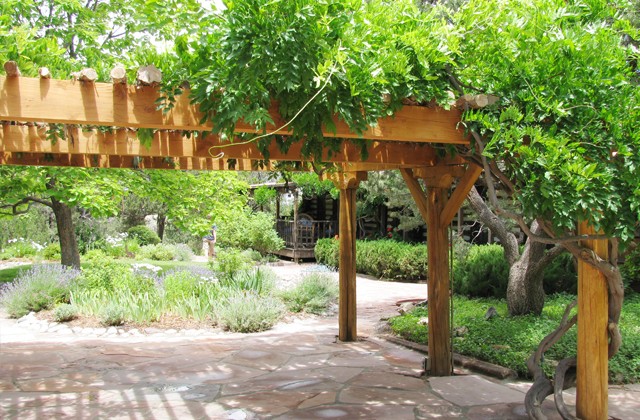 Pergola