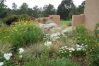 Wild Flowers and Wall