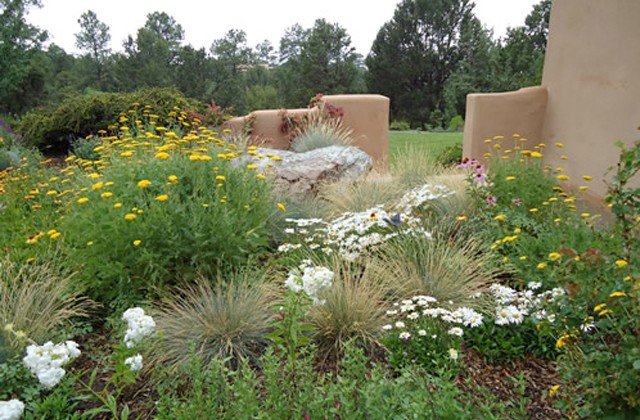 Wild Flowers and Wall